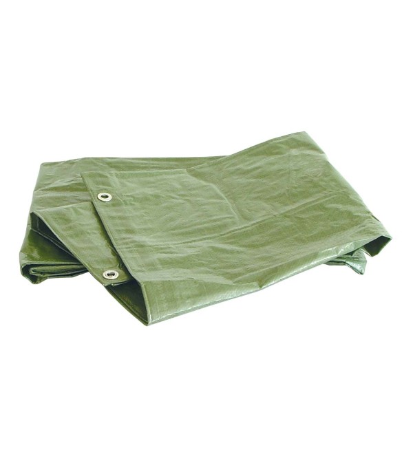 Telone copritutto occhiellato 2x3 m