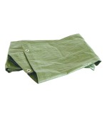 Telone copritutto occhiellato 2x3 m