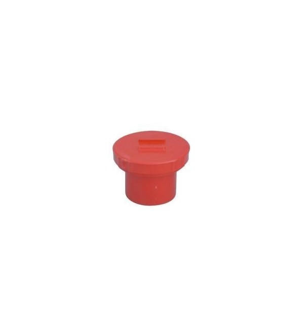 Tappo ispezionabile pvc 40