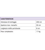 FT4  dispositivo di protezione anticaduta a morsetto reversibile