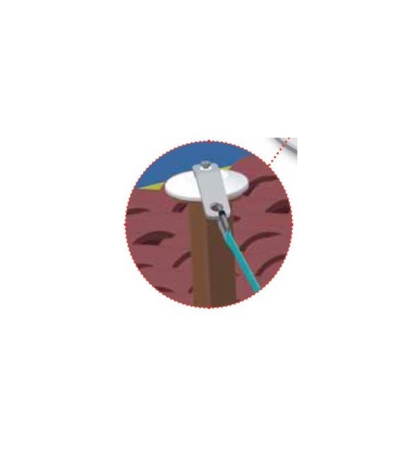 Golfare orientabile a 360¡